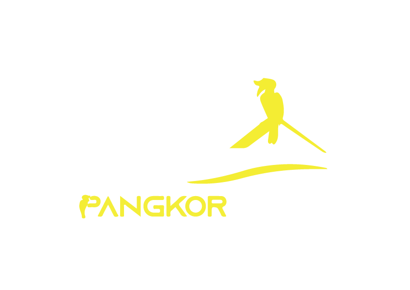 damai.com